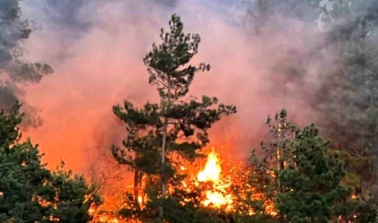 Kahramanmaraş’ta 18 saatte söndürülen yangında 50 hektar orman yandı