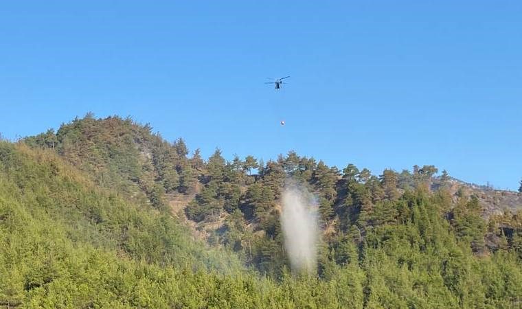 Kahramanmaraş'ta 18 saat süren yangının acı bilançosu: 50 hektar alan yandı