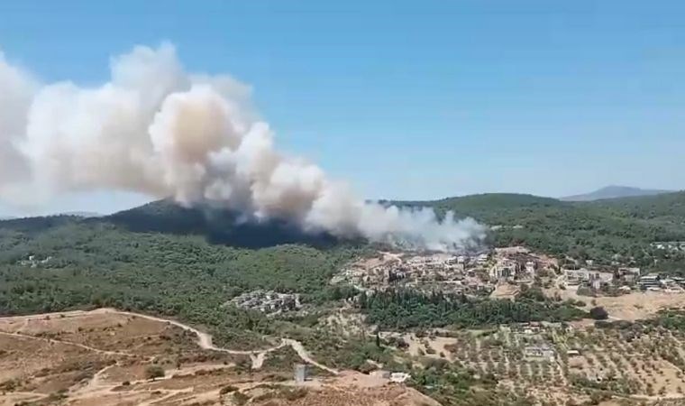 Çeşme ve Urla’da orman yangını