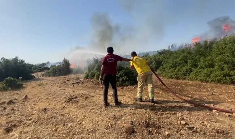 Kahramanmaraş’ta iki farklı yerde orman yangını!