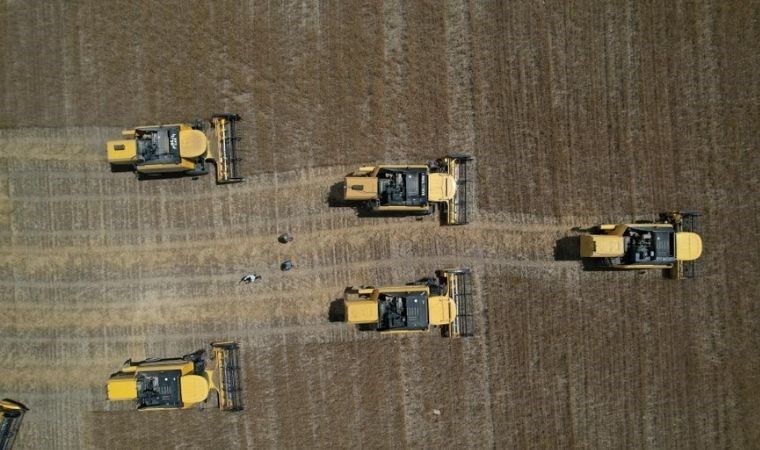 Ankara'nın tahıl ambarında hasat başladı: 15-20 ton rekolte bekleniyor