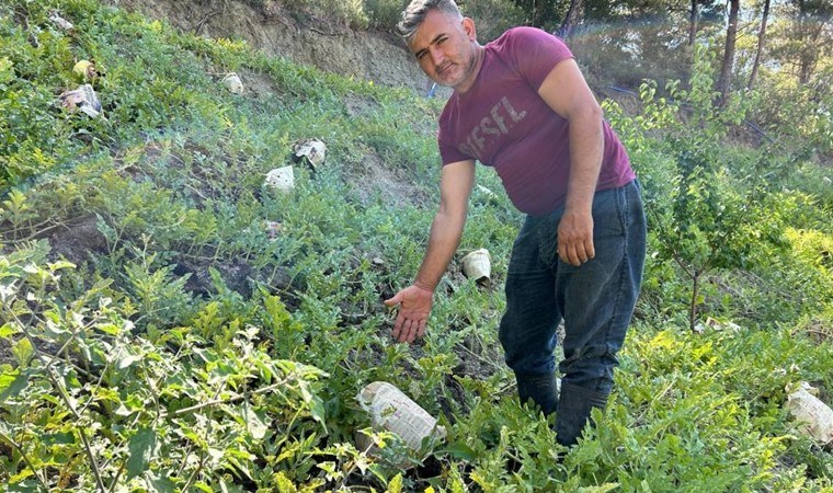 Hataylı çiftçi mahsulünün yanmaması için ilginç bir çözüm buldu