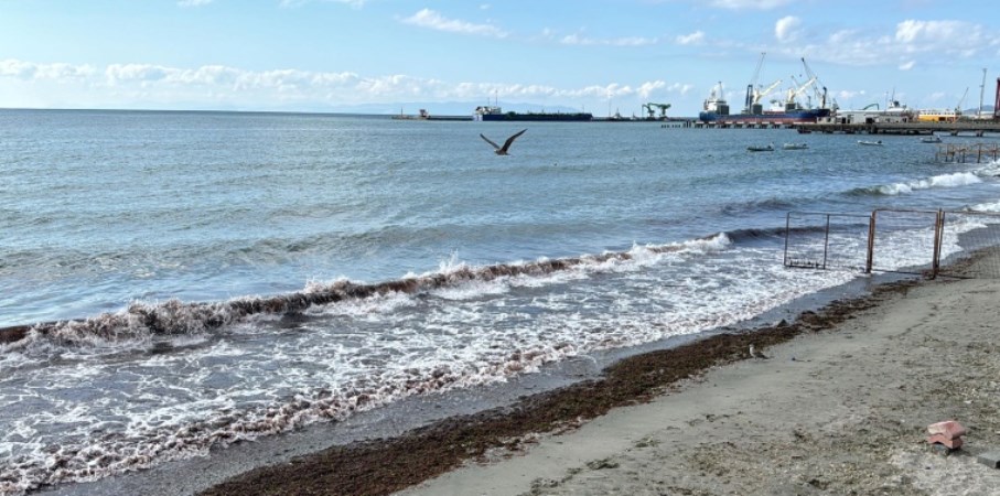 Marmara Denizi'nde poyraz etkili oluyor: Sahil kırmızı yosunla kaplandı!