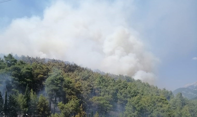 Antalya'da orman yangını!