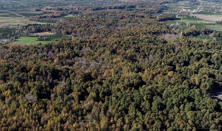 Piknik ateşi yakan 3 kişiye para cezası verildi