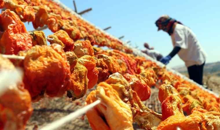 Kurutmalık sezonunda Gaziantep'in yükseklerinde renk cümbüşü