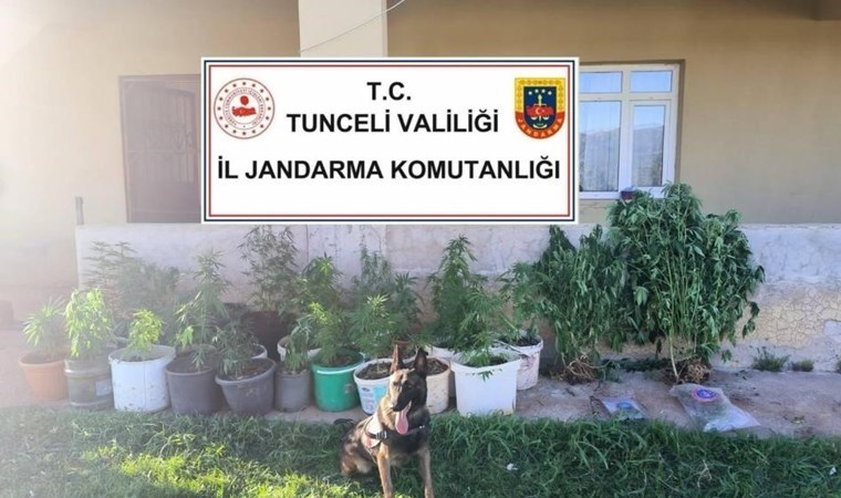 Tunceli’de uyuşturucu operasyonu: 2 tutuklama