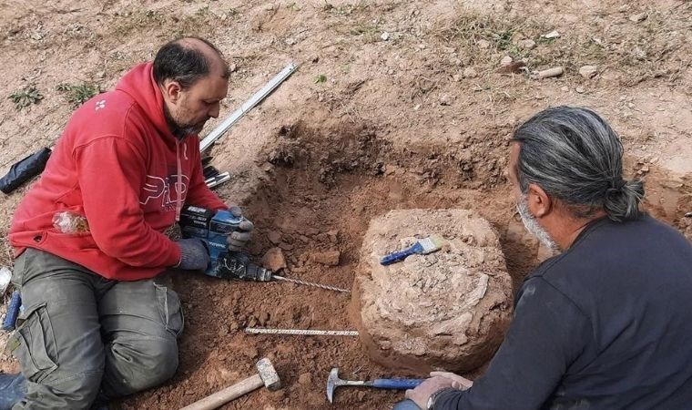 İnsanlık tarihini değiştiren keşif! Dev canlı bilimde şok etkisi yarattı!