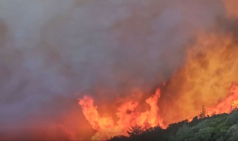 Çanakkale’de orman yangını: 57. Alay Şehitliği ziyarete kapatıldı