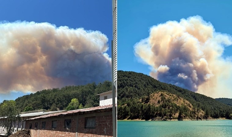 Bolu'da orman yangını... Bölgeye çok sayıda ekip sevk edildi