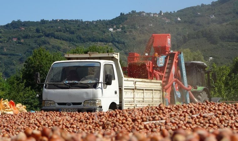 Yılda sadece 1,5 ay çalışıyorlar, saatte 3 bin 500 TL kazanıyorlar