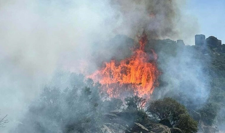 Çanakkale'deki orman yangını kontrol altında