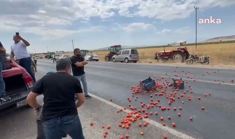 'Çiftçi artık tarlasına girmek istemiyor'