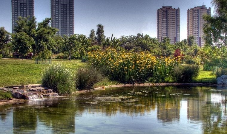 Doğanın kalbinde huzur dolu bir keşif: İstanbul'da görmeniz gereken 5 botanik park