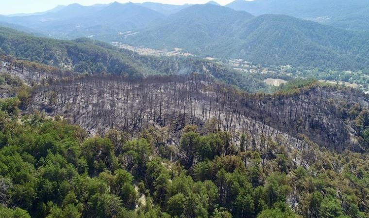 Bolu ve İzmir'deki orman yangınlarında zarar gören alanlar havadan görüntülendi