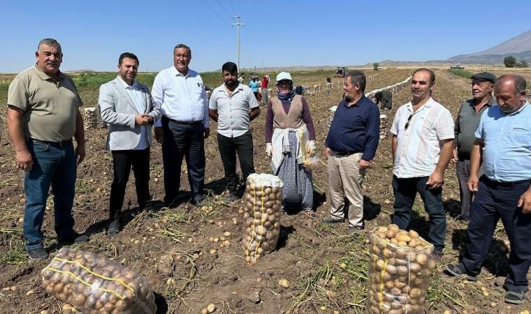 Çiftçinin patatesi tarlada kaldı: Bu halk, biz ekmezsek, dikmezsek ne yiyecek?