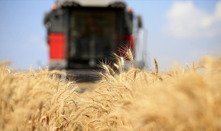 Küresel gıda fiyatları temmuzda da değişmedi