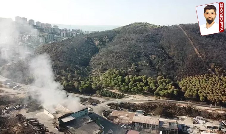 Yanan arazilerin niteliklerinin değiştirilerek ranta açılmasına tepki gösterildi: Orman için yasa çağrısı