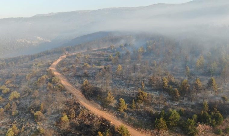 Çankırı’daki orman yangınına müdahale sürüyor