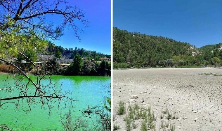 Kolak Gölü kurudu balıklar nakledildi