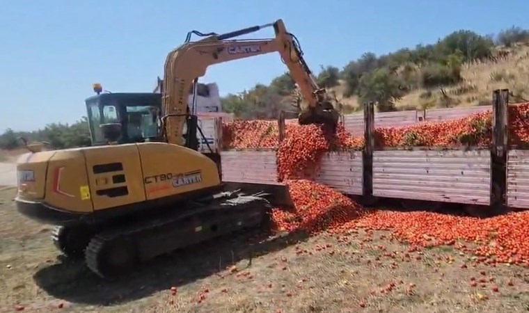 30 ton domatesi elinde kalan üretici, ürünleri kepçeyle yere döktü!