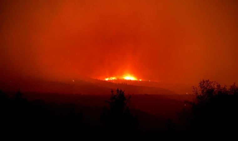 Son Dakika... Ankara'da başlayıp Bolu'ya sıçrayan orman yangınına ilişkin 1 şüpheli gözaltına alındı