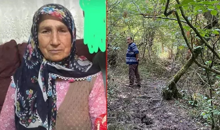 İneklerini toplamaya gitmişti: Cansız bedeni bulundu