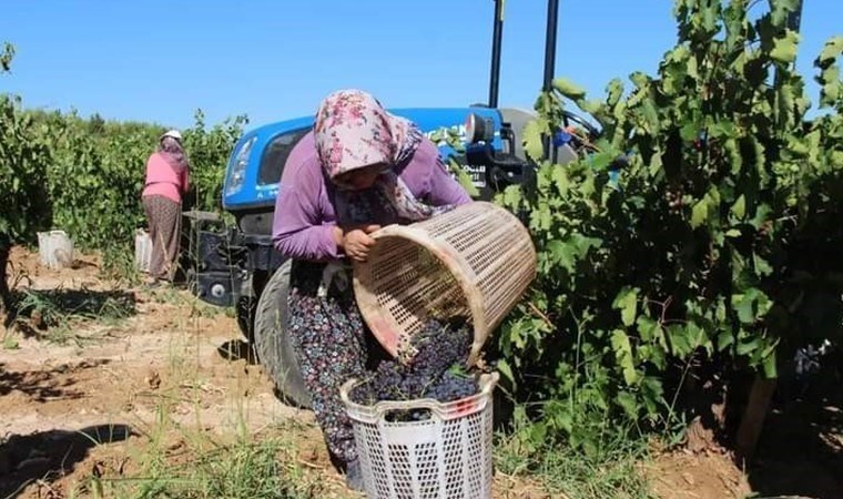 2024 yılıyla ilgili ürün destekleri açıklandı, üreticiler maliyete dikkat çekti!