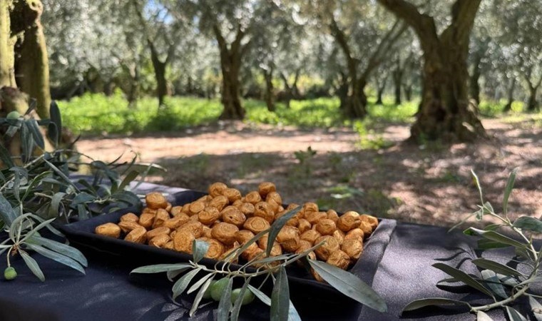 Bu da oldu… ‘Altın kaplamalı’ zeytin yok satıyor!