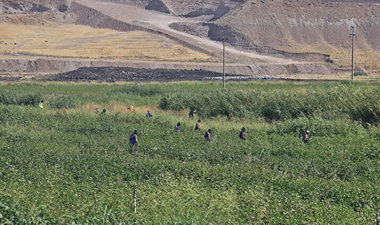 Diyarbakır 8 yaşındaki Narin’i 7 gündür arıyor: İhbar üzerine kepçeyle arama başlatıldı