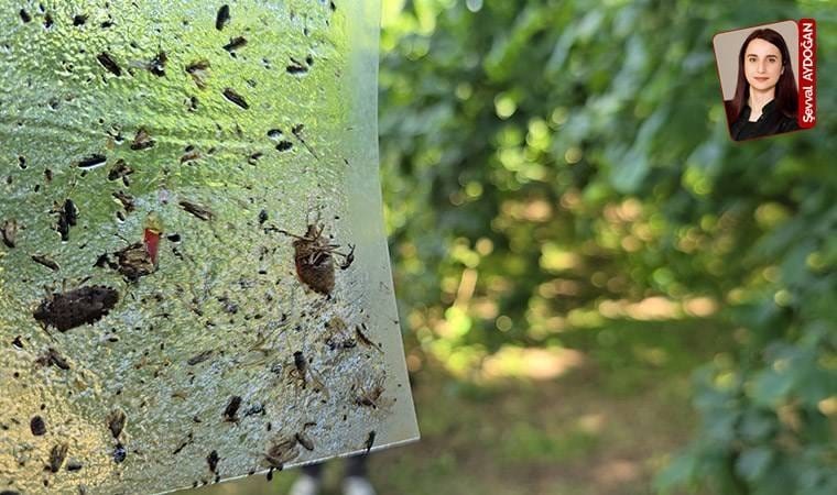 Uzun zamandır önlem alınması çağrısında bulunan uzmanlara kulak asan olmadı