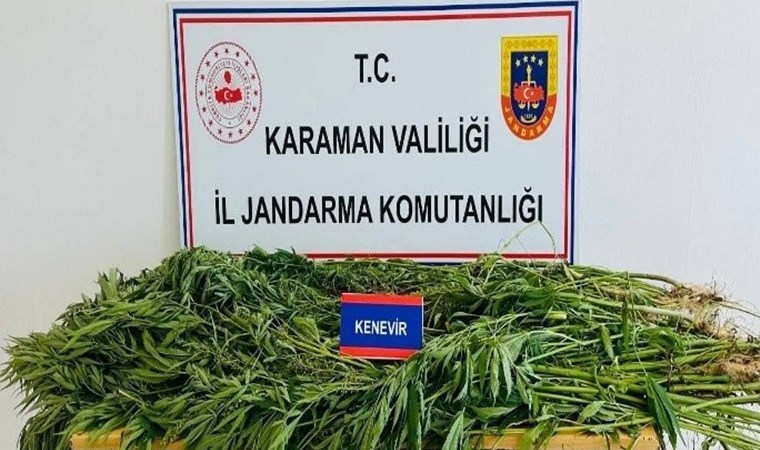 Karaman’da kenevir operasyonu: 3 gözaltı