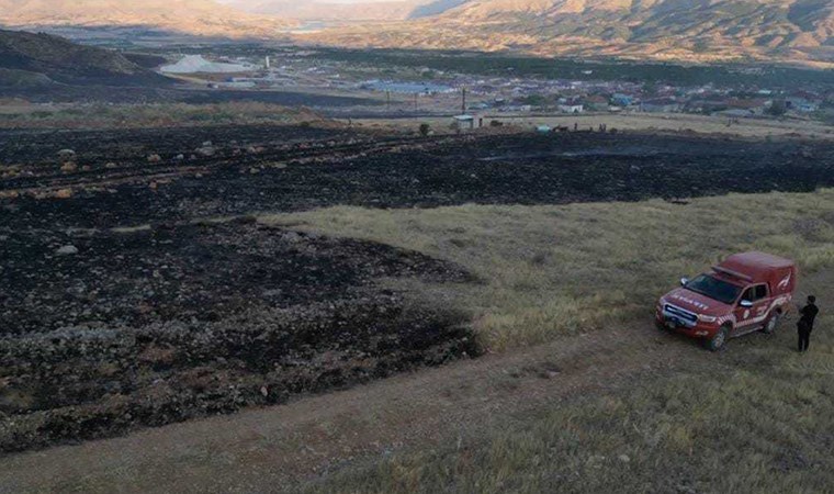 Malatya'da 4 ilçede anız ve orman yangını: Ekiplerin müdahalesiyle söndürüldü