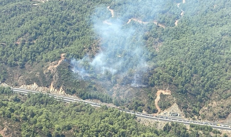 Muğla'da orman yangını!