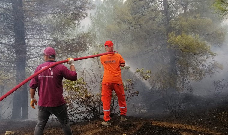 Kahramanmaraş'ta orman yangını: Ekiplerin müdahalesi sürüyor!