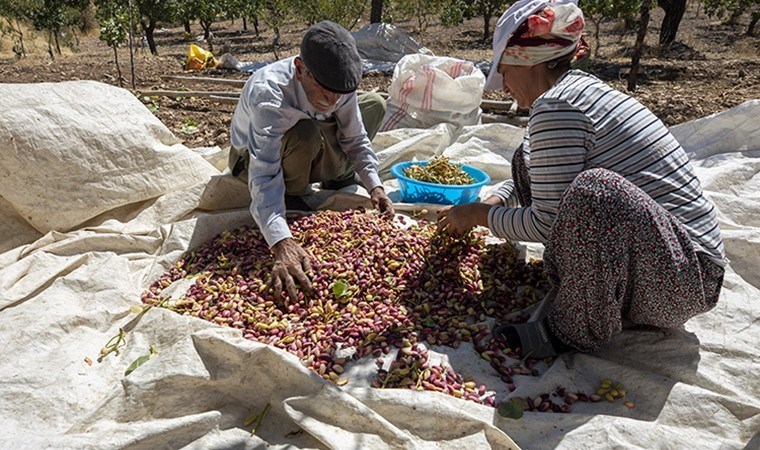 En az 140 TL’lik taban fiyat isteyen üreticiler yollara döküldü, destek istedi: Çiftçi eylemleri büyüyor