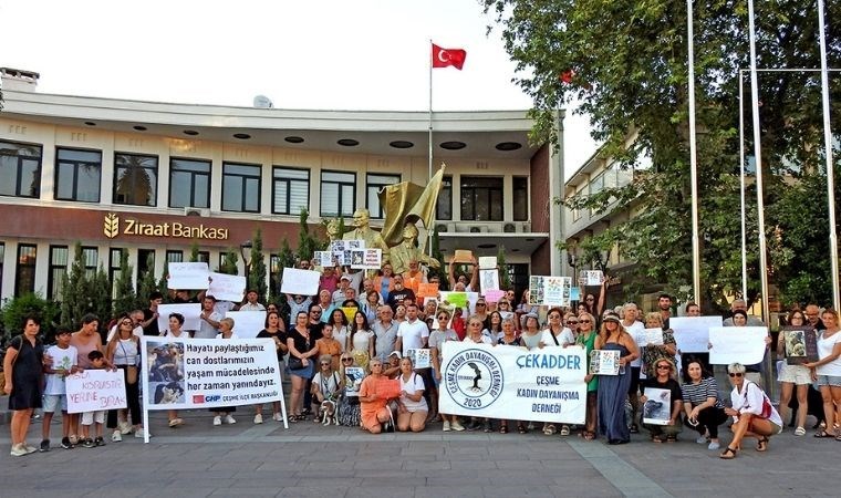 Lal Denizli: Yasanın uygulanacak bir tarafı yok