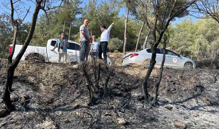 Milas yangınında 13 dekar tarım alanı zarar gördü