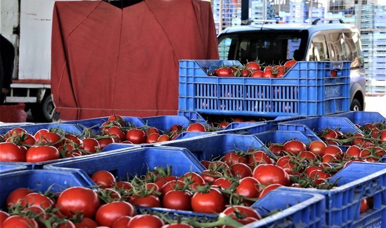 Domatesleri çöpe döktü! Bakanlık ceza kesti