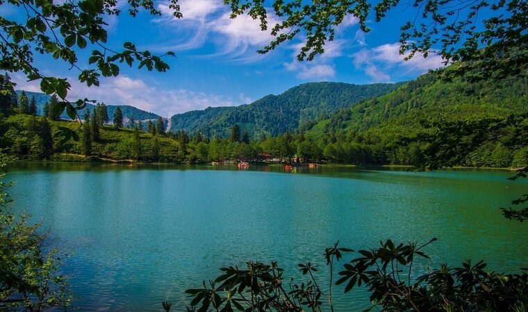 Artvin, Artvin