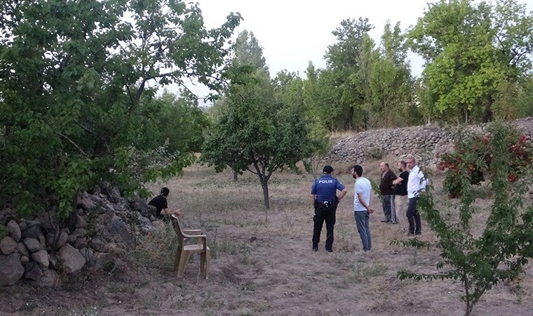 Budamak için çıktığı ağaçtan düşerek öldü