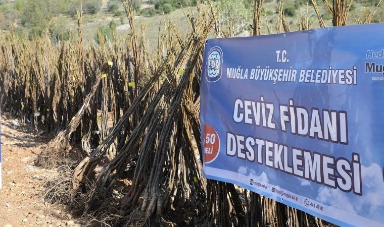 Muğla’da “Her Kapıda Bir Fidan” projesi başladı