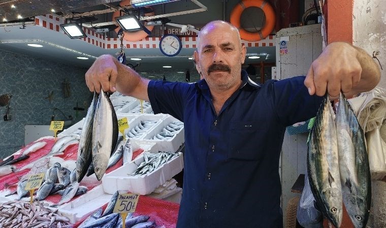 Yasak sona erdi kapış kapış satıldı: Tanesi 50 TL