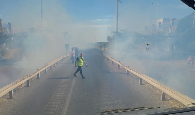 Yol kenarına atılan sigara izmariti yangına neden oldu