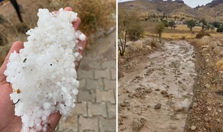 Elazığ'da sağanak ve dolu: Kayısı bahçeleri zarar gördü