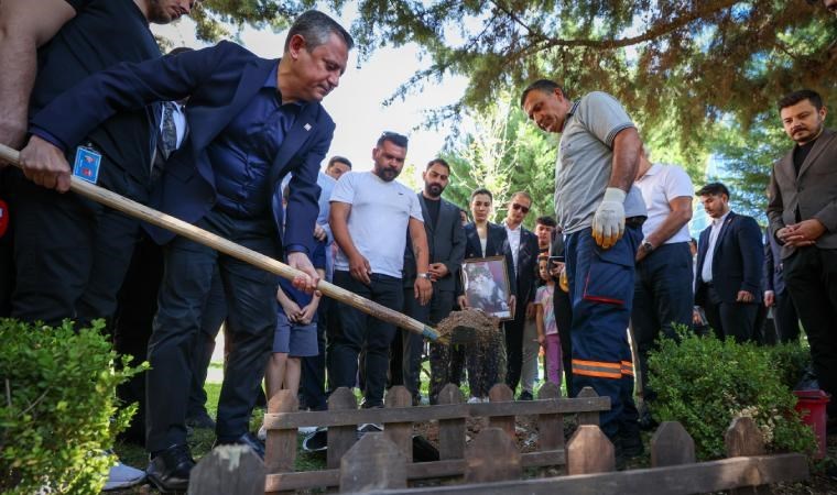 CHP'nin kedisi Şero hayatını kaybetti