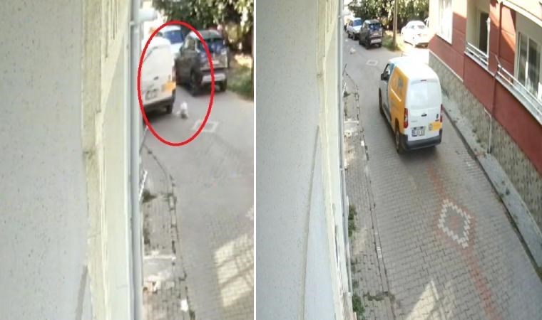 Kargo şirketinin aracıyla köpeği ezip, yoluna devam etti