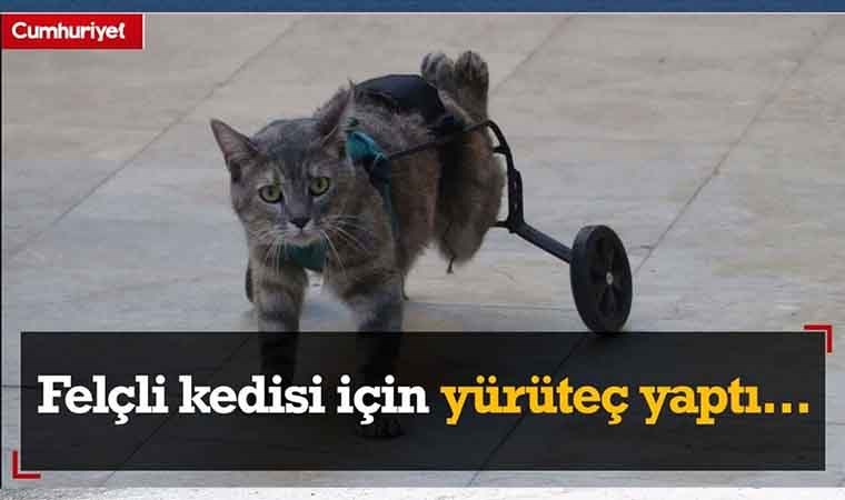 Felçli kedisi için yürüteç yaptı...