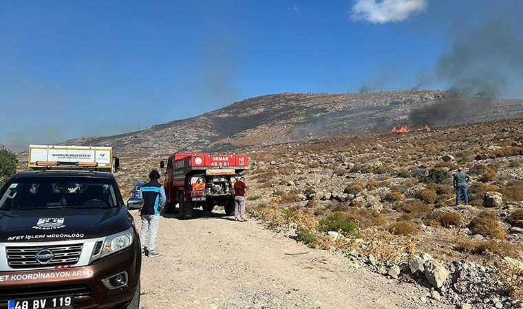 Bodrum'da ot yangını: 2 saatte söndürüldü