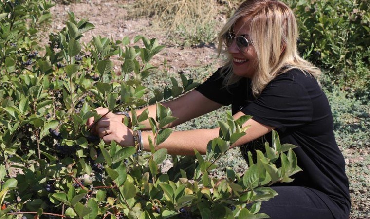 Erzincan'da “Süper meyve